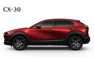 cx30