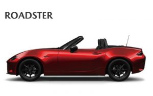 loarster